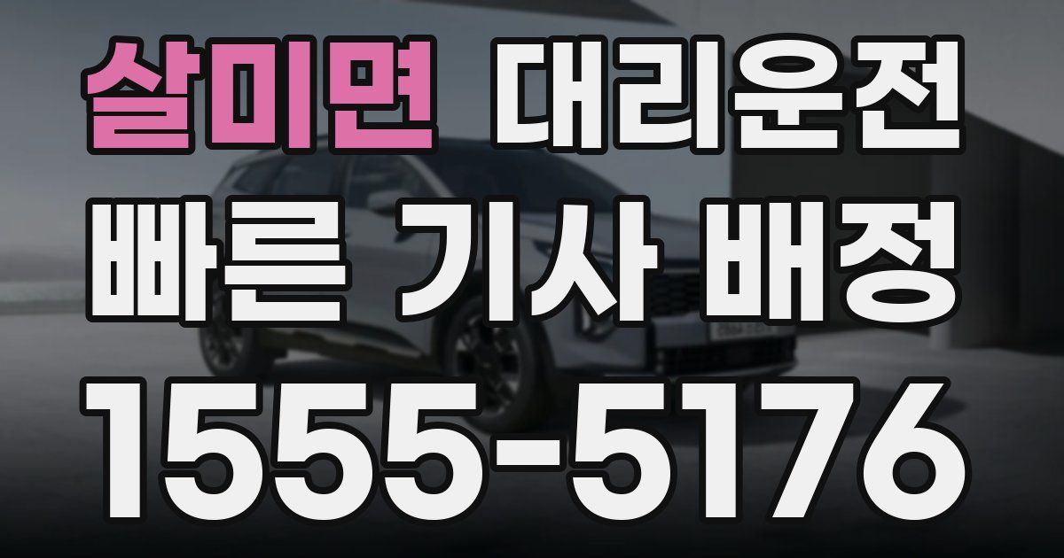 일일대리기사