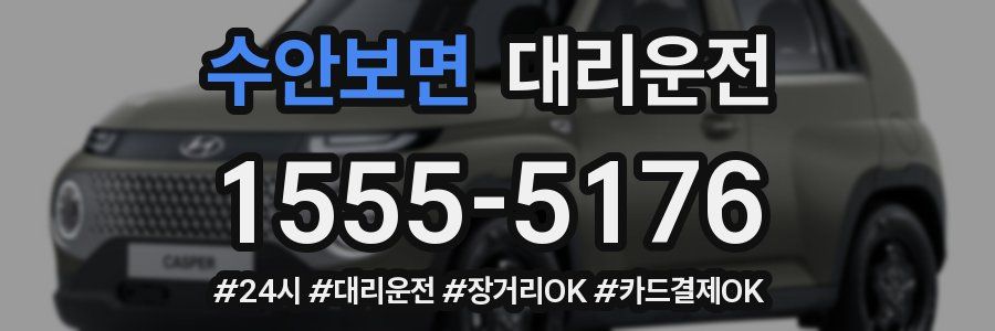 수안보면 대리운전