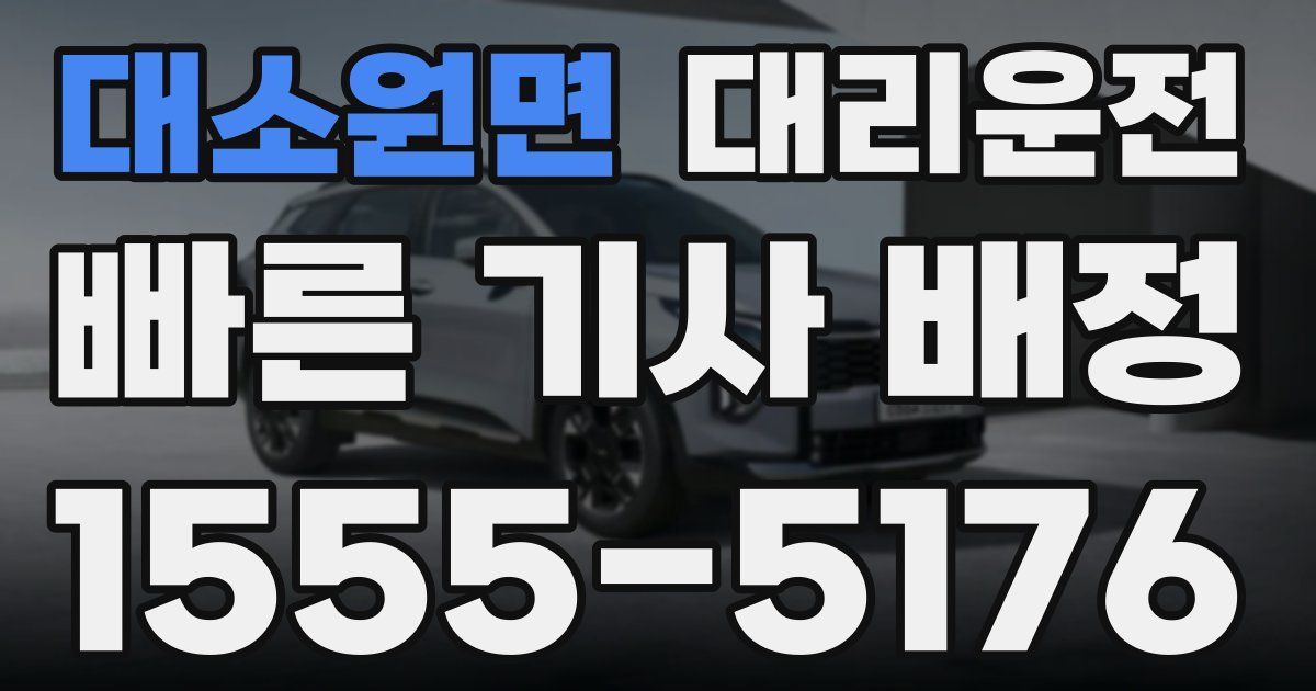일일대리기사