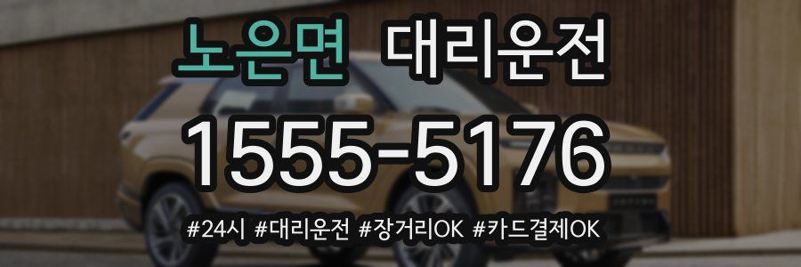 노은면 대리운전