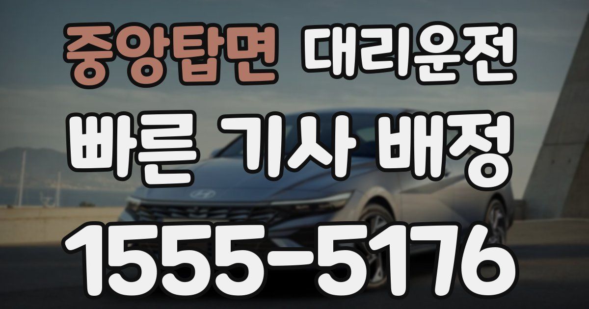 일일대리기사