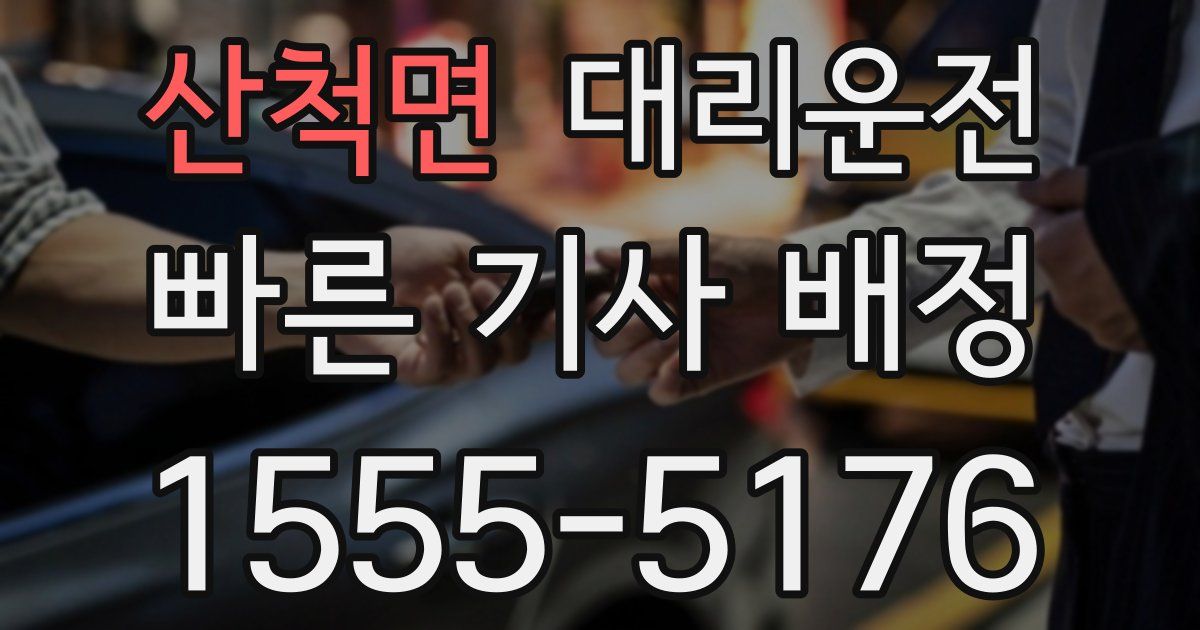 일일대리기사