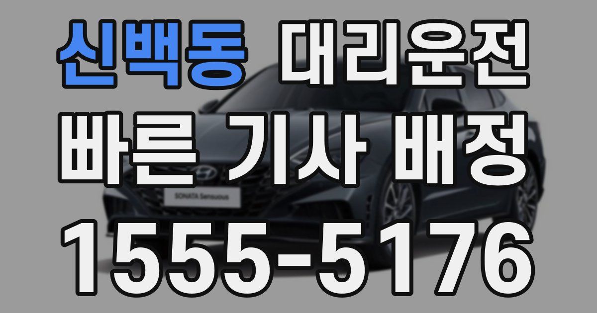 일일대리기사