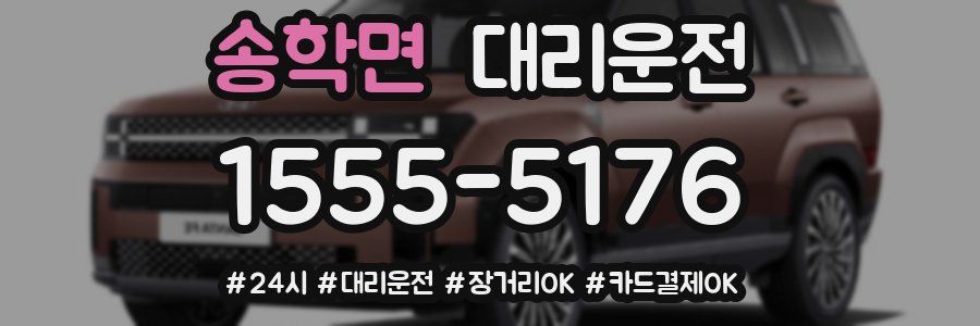 송학면 대리운전