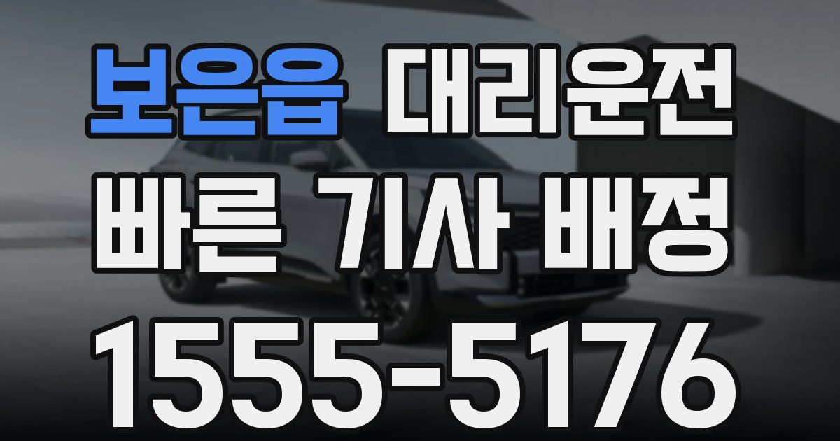 일일대리기사
