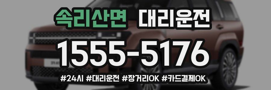 속리산면 대리운전