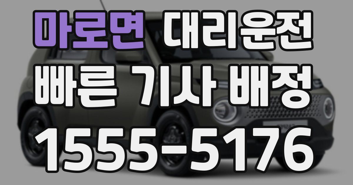 일일대리기사