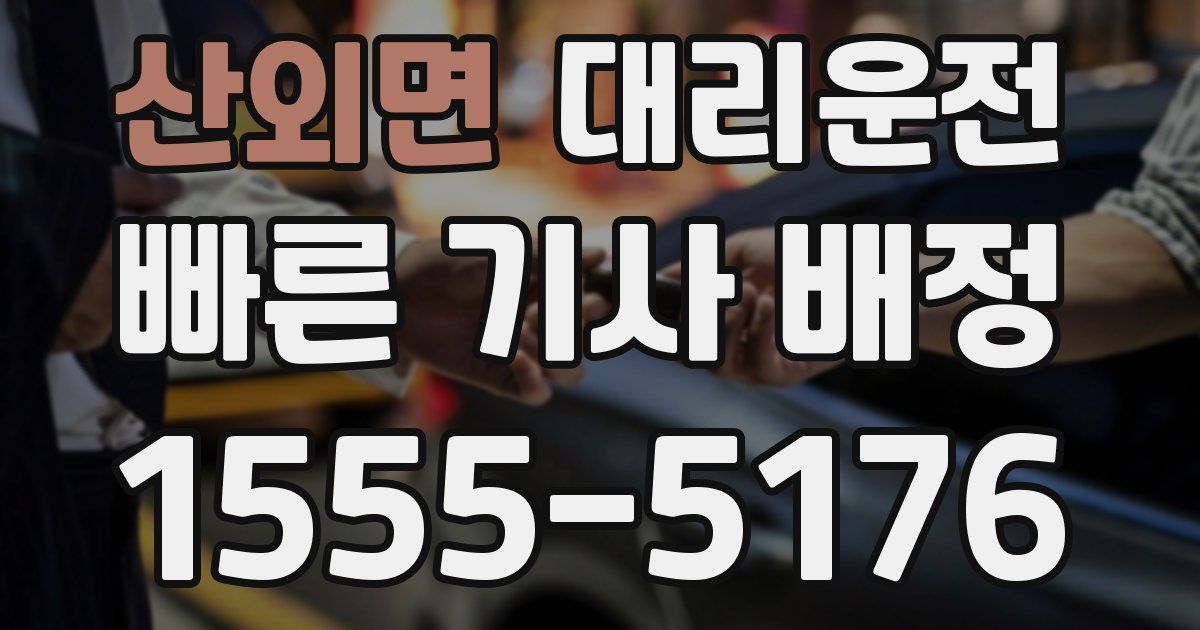 일일대리기사