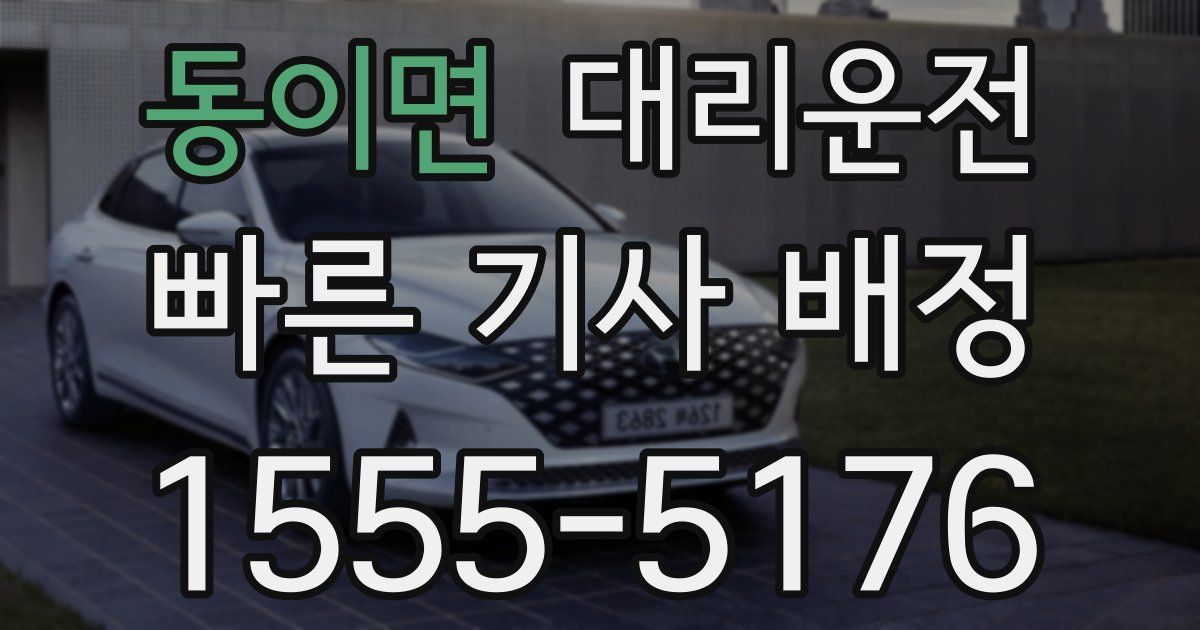 일일대리기사