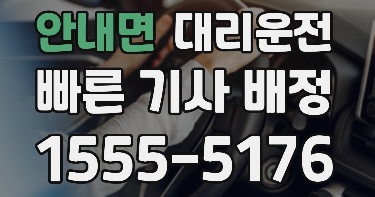 일일대리기사
