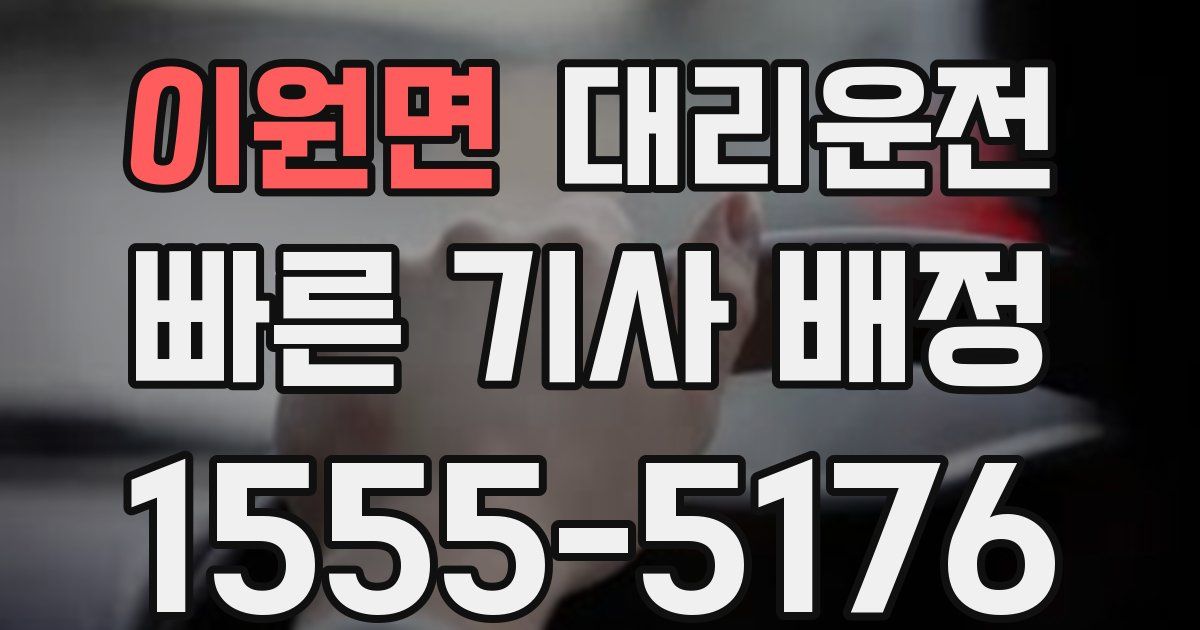 일일대리기사
