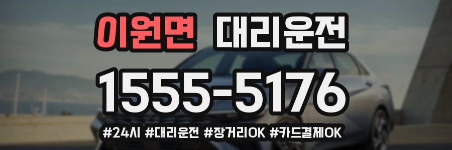 이원면 대리운전