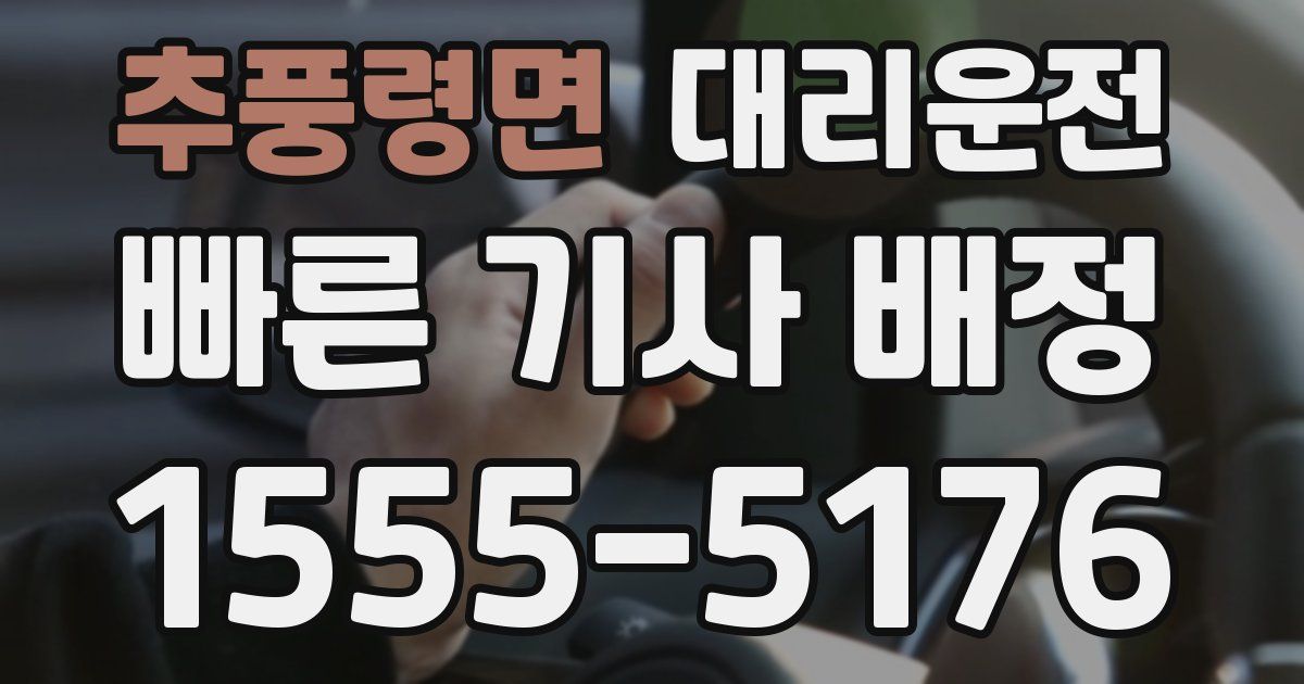 일일대리기사