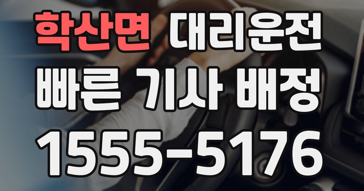 일일대리기사