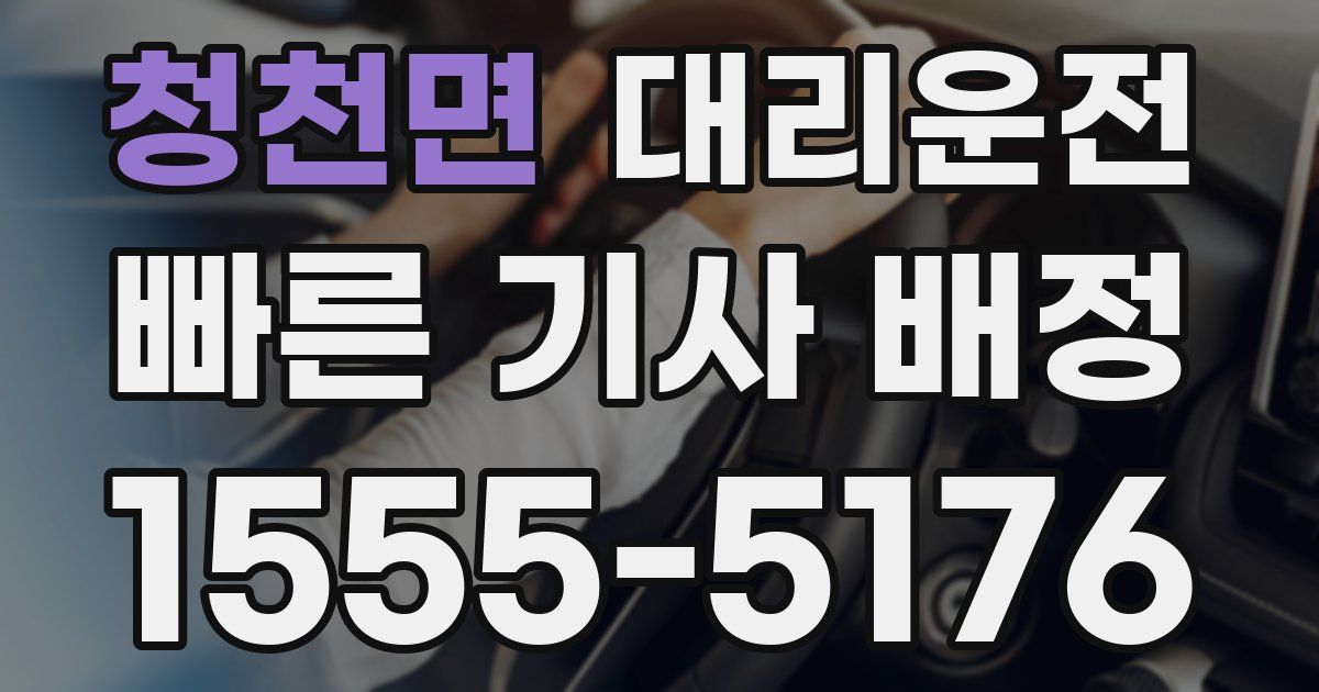 일일대리기사