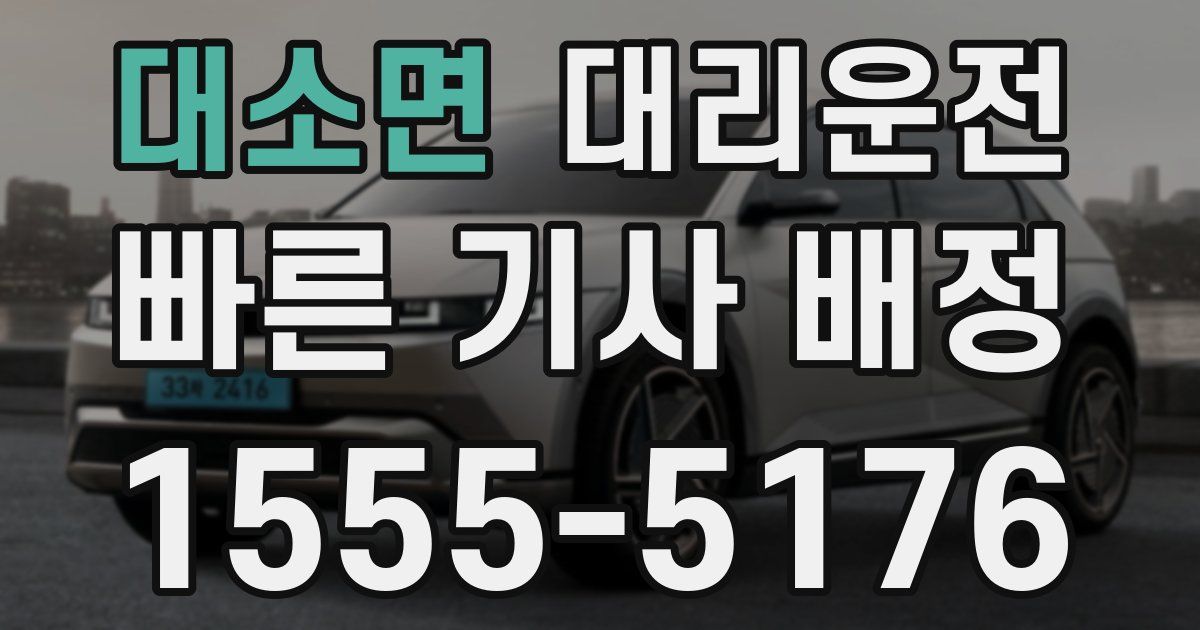 일일대리기사