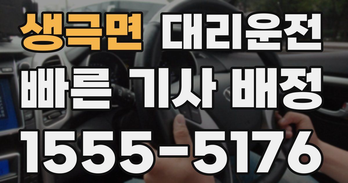 일일대리기사