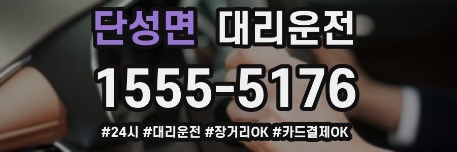 단성면 대리운전