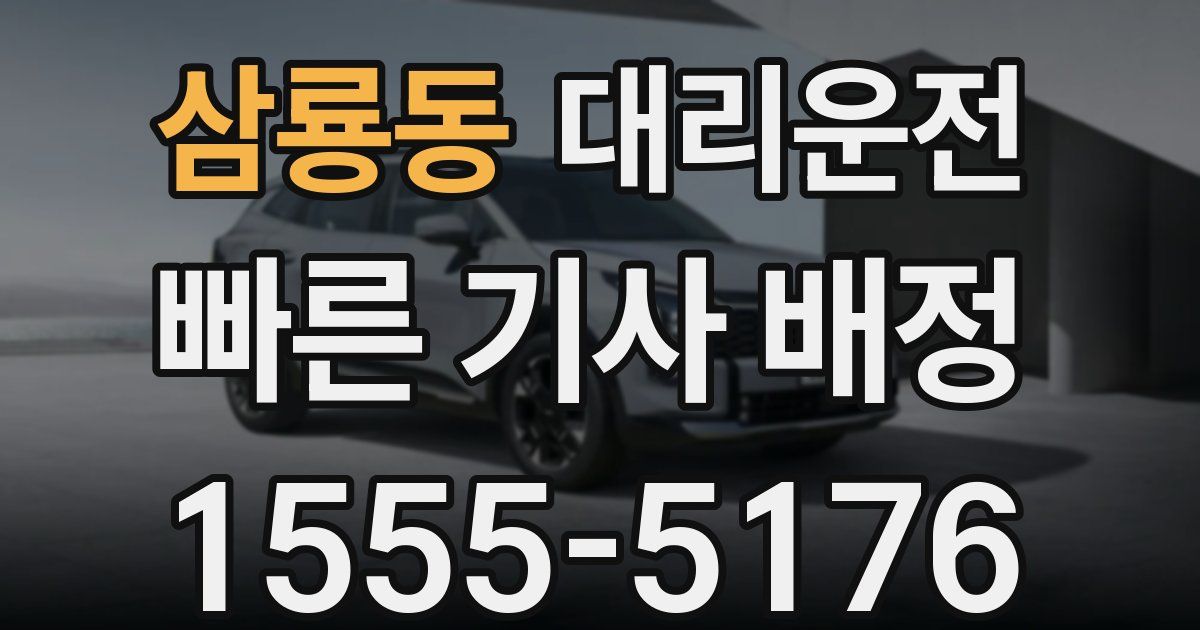 일일대리기사