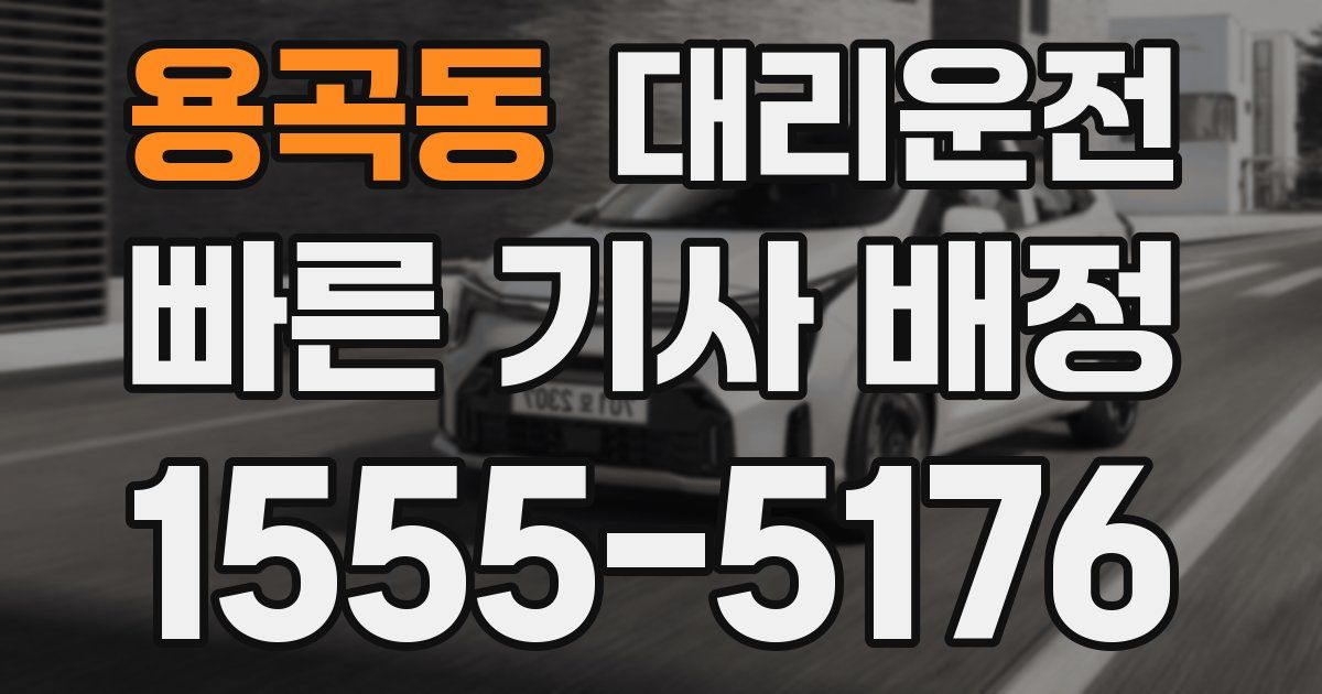 일일대리기사