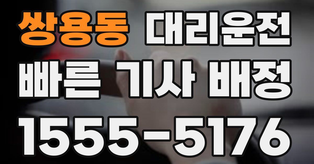 일일대리기사