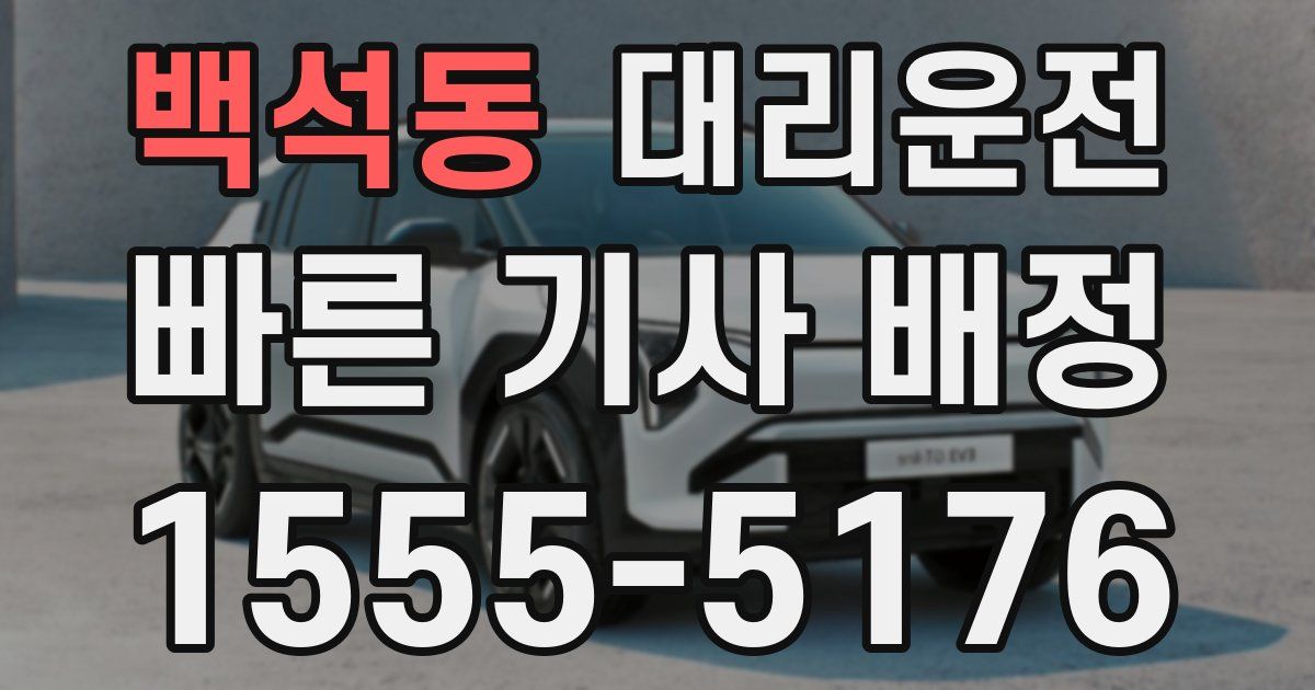 일일대리기사
