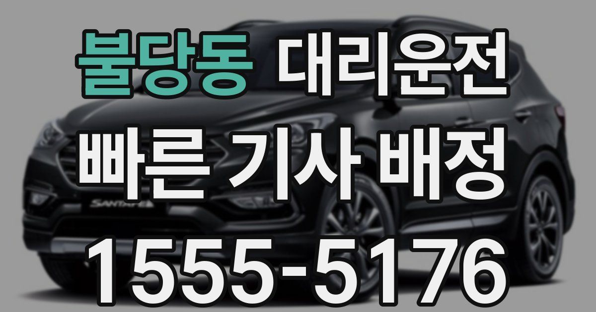 일일대리기사