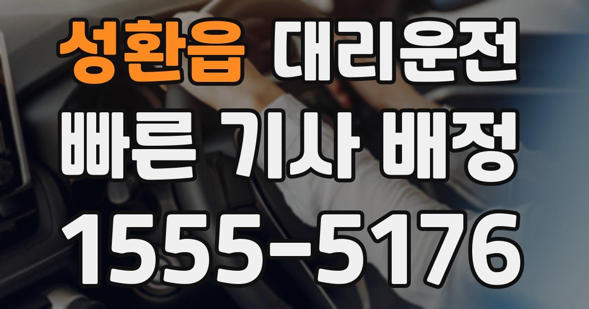 일일대리기사
