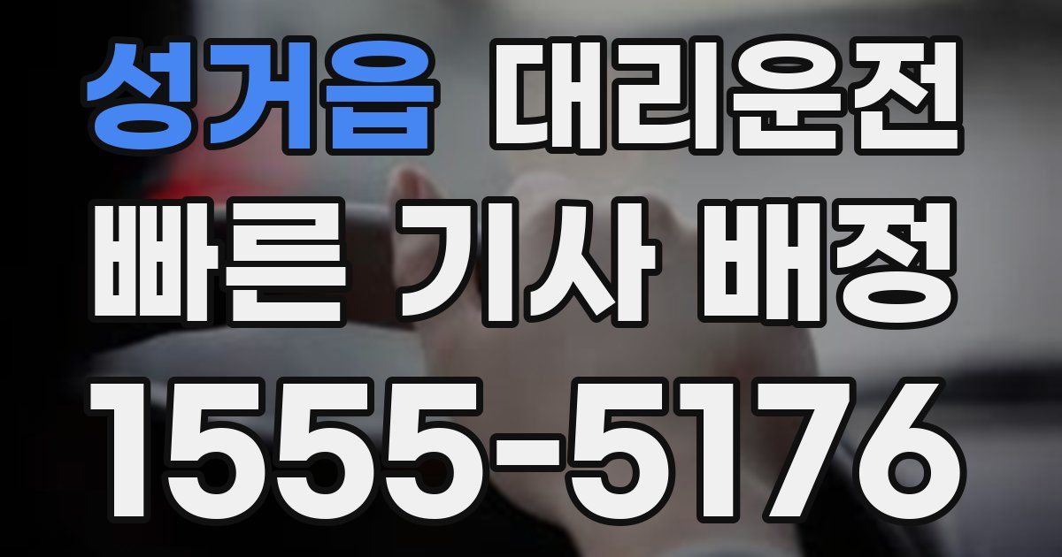 일일대리기사