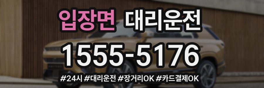 입장면 대리운전