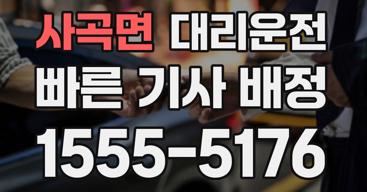 일일대리기사