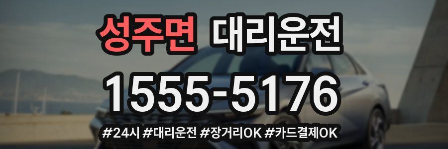 성주면 대리운전