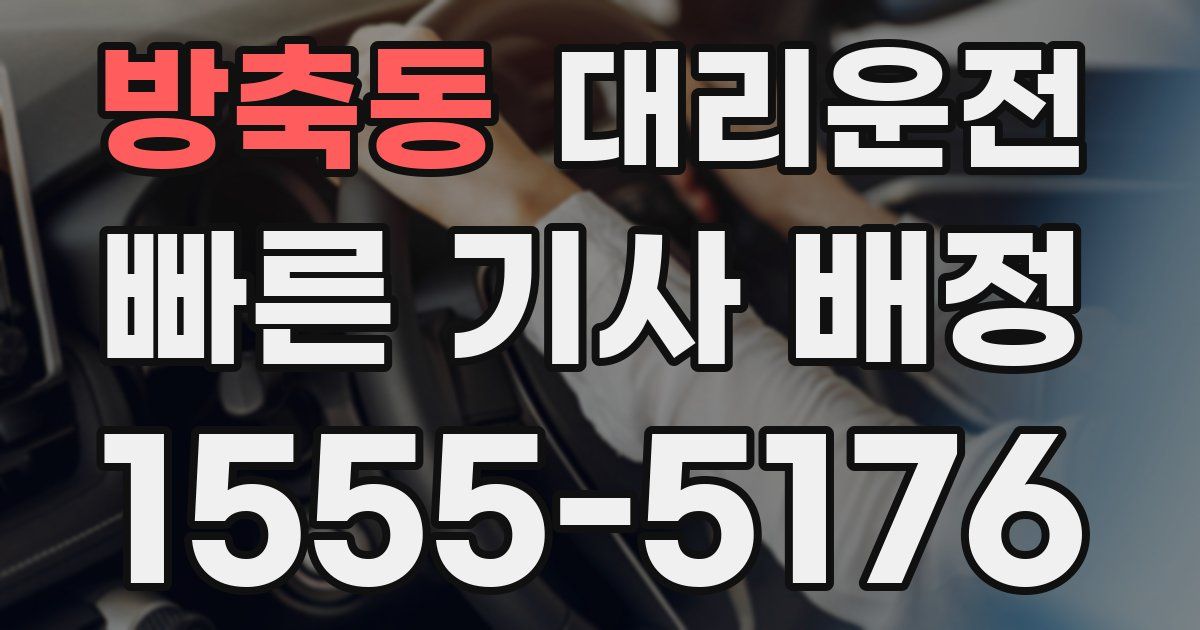 일일대리기사