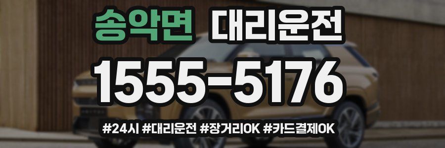 송악면 대리운전