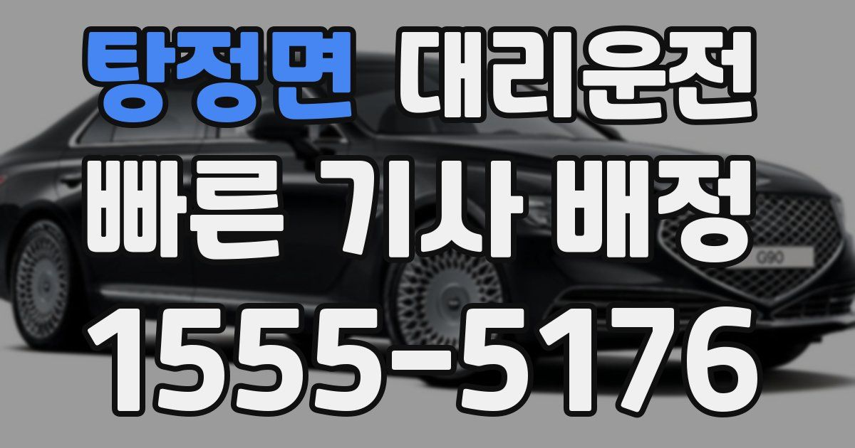 일일대리기사