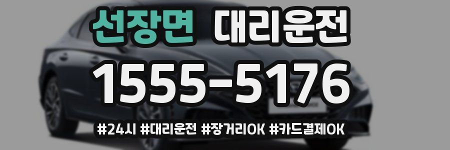 선장면 대리운전