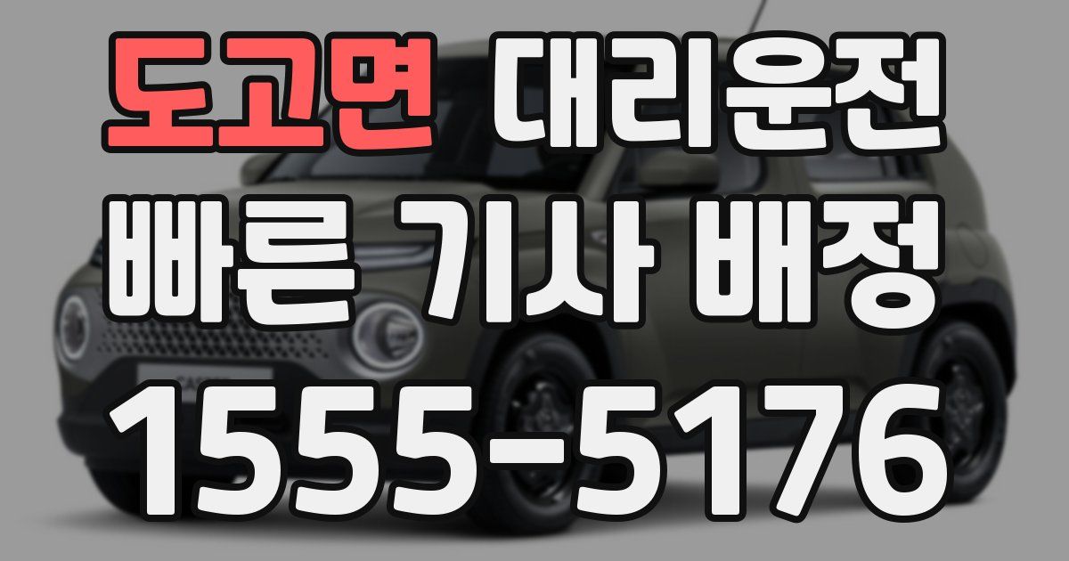 일일대리기사