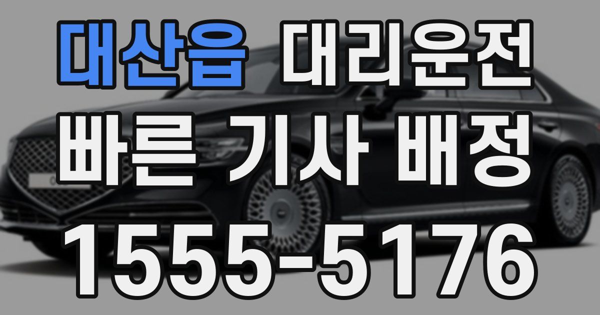 일일대리기사