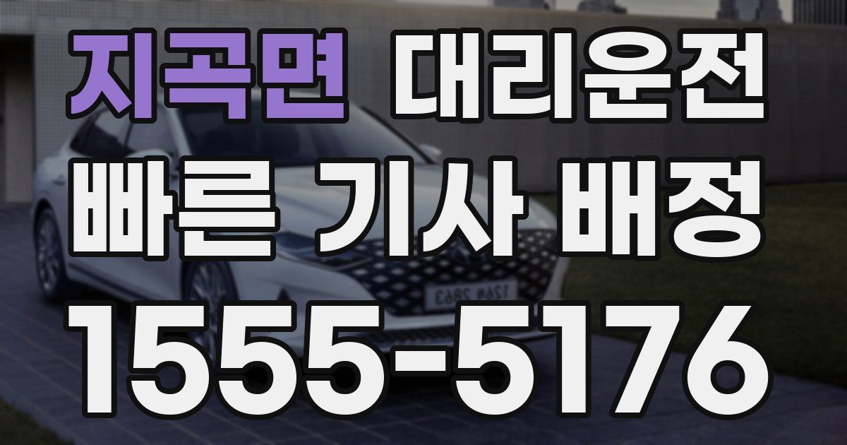 일일대리기사