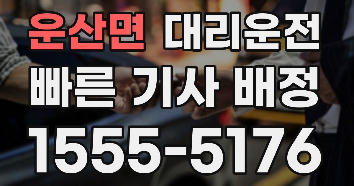 일일대리기사