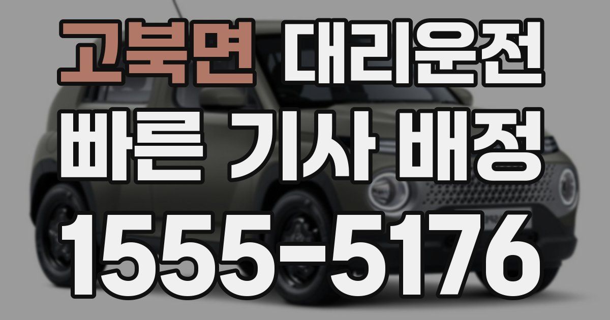 일일대리기사