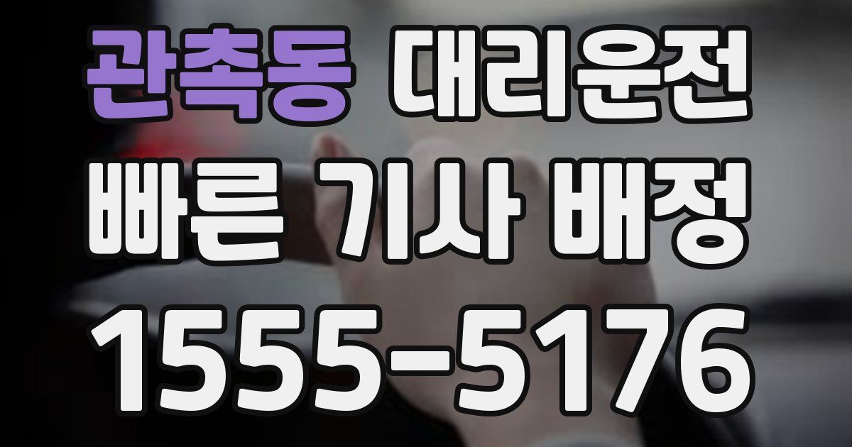 일일대리기사