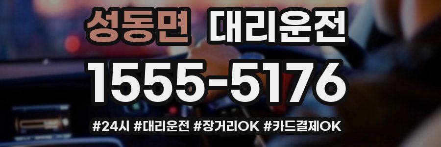 성동면 대리운전