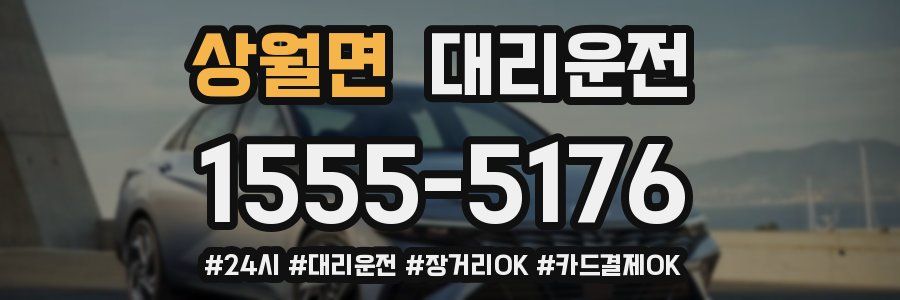 상월면 대리운전