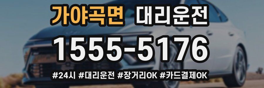 가야곡면 대리운전