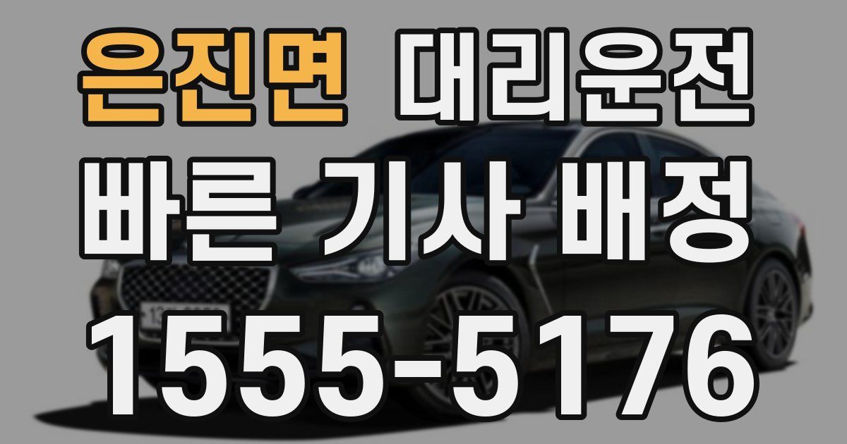 일일대리기사