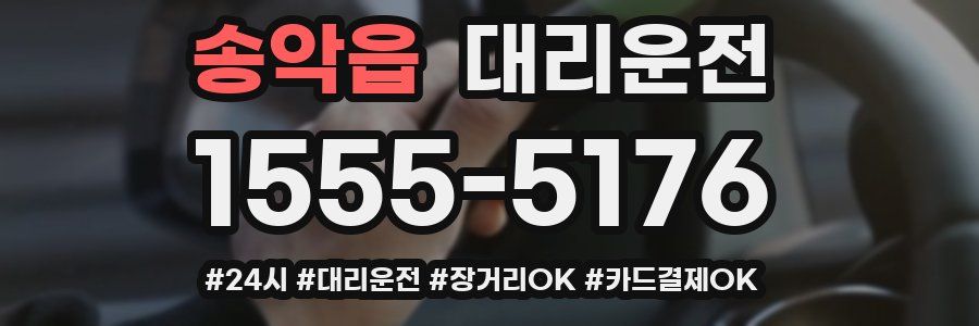 송악읍 대리운전