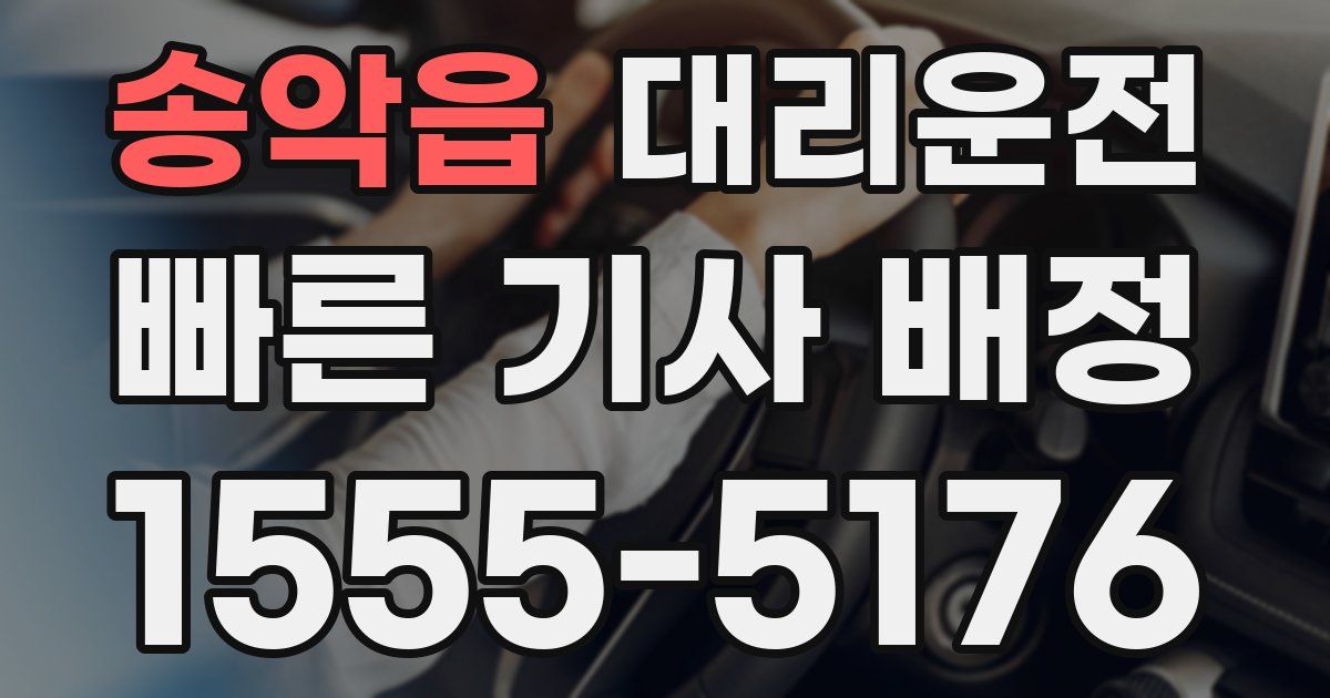 일일대리기사