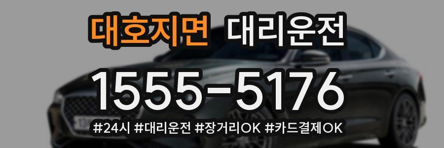 대호지면 대리운전