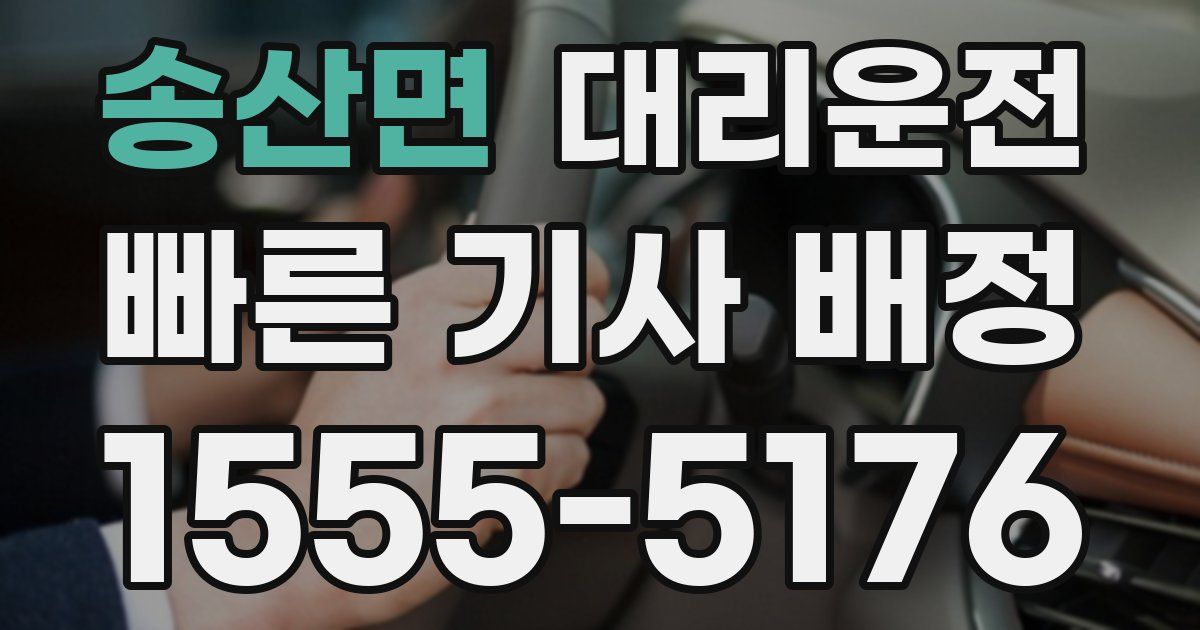 일일대리기사